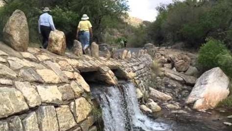 Springtime in Sabino Canyon